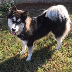 Meet your Posher, Jacinda